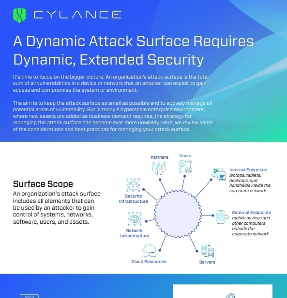 A Dynamic Attack Surface Requires Dynamic, Extended Security