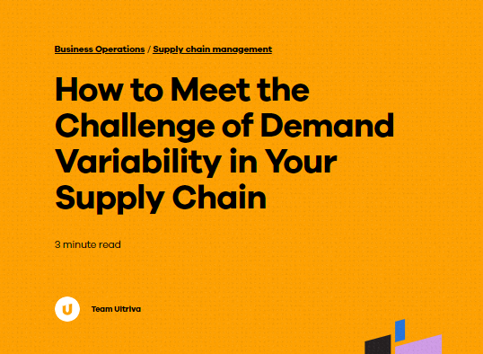 How to Meet the Challenge of Demand Variability in Your Supply Chain