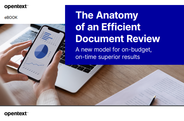 The anatomy of an efficient document review