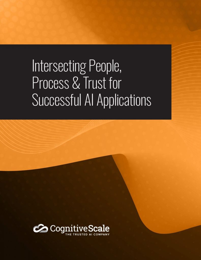 Intersecting People, Process  and  Trust for Successful AI Applications