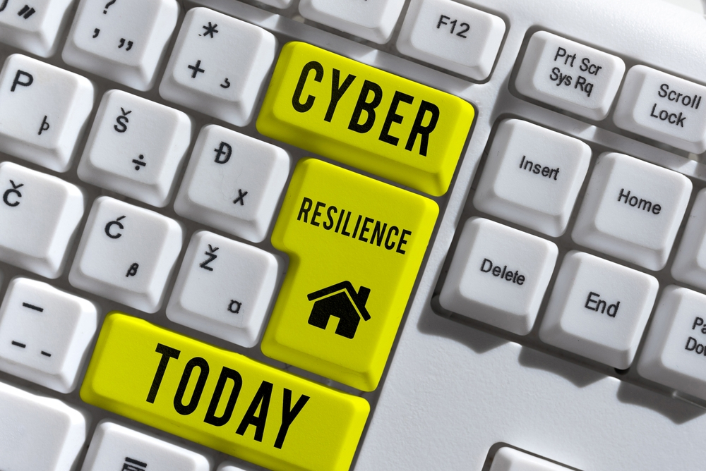 Enhancing Cyber Resilience: Security Best Practices Decoded