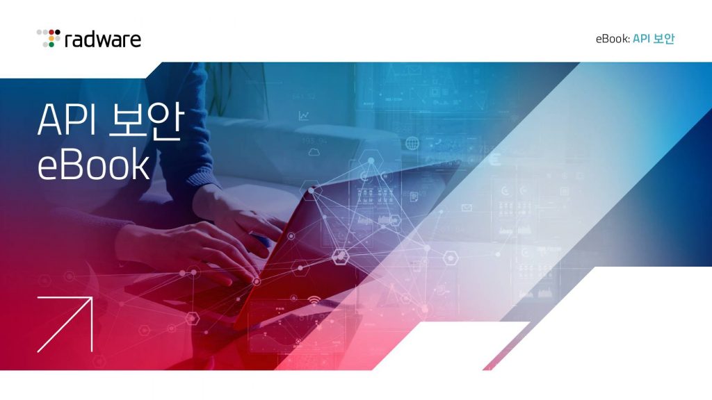 API 보안 eBook