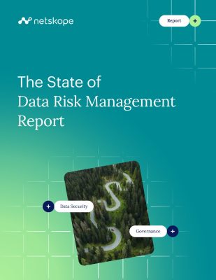 The State of Data Risk Management Report